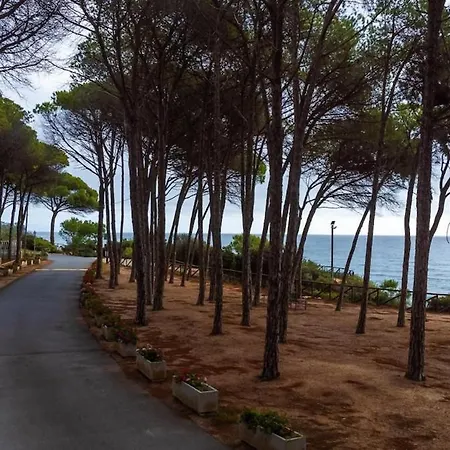 Grace 50 Mt From The Sea Fort Village