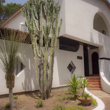 Grace 50 Mt From The Sea