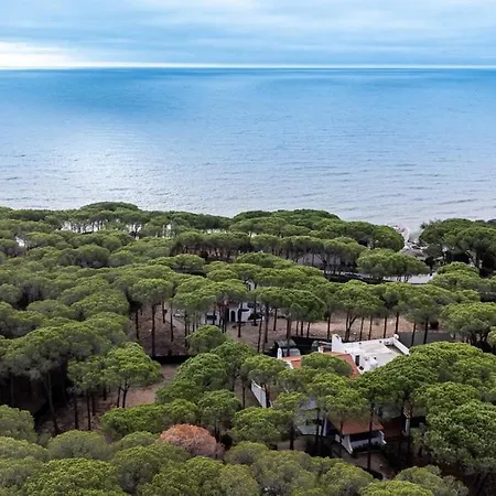 Grace 50 Mt From The Sea